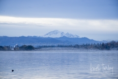 221101-2432-wiser-lake-snow-geese