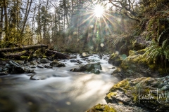 230316-8396-otoole-creek-pano
