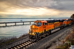 Taylor Train